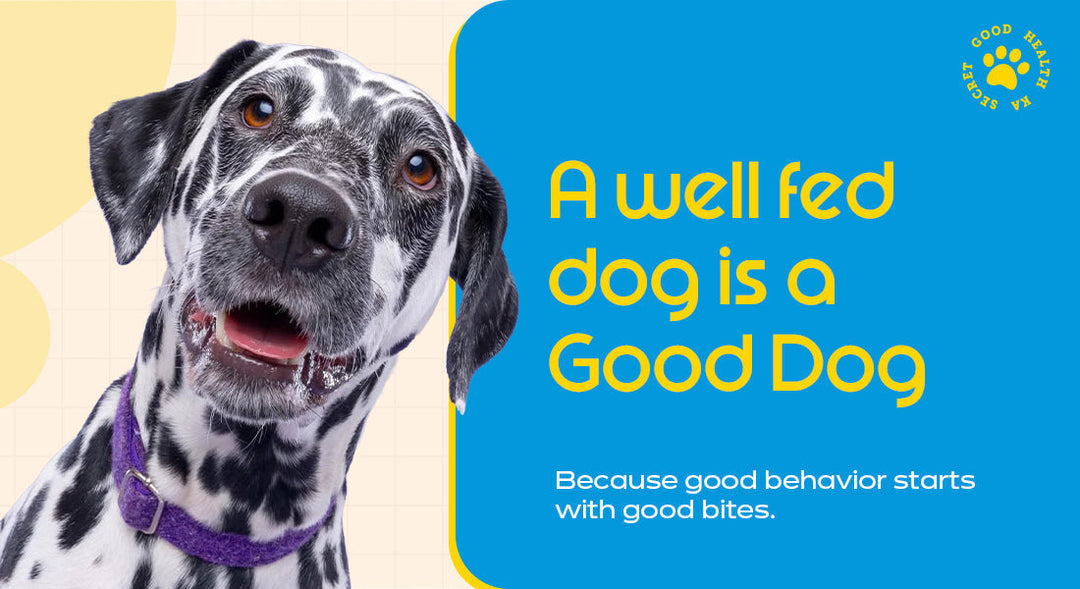 A well fed dog is a Good Dog