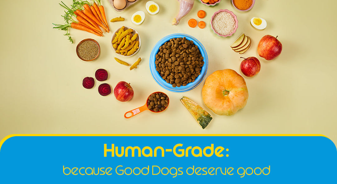 What is Human-Grade Dog Food?