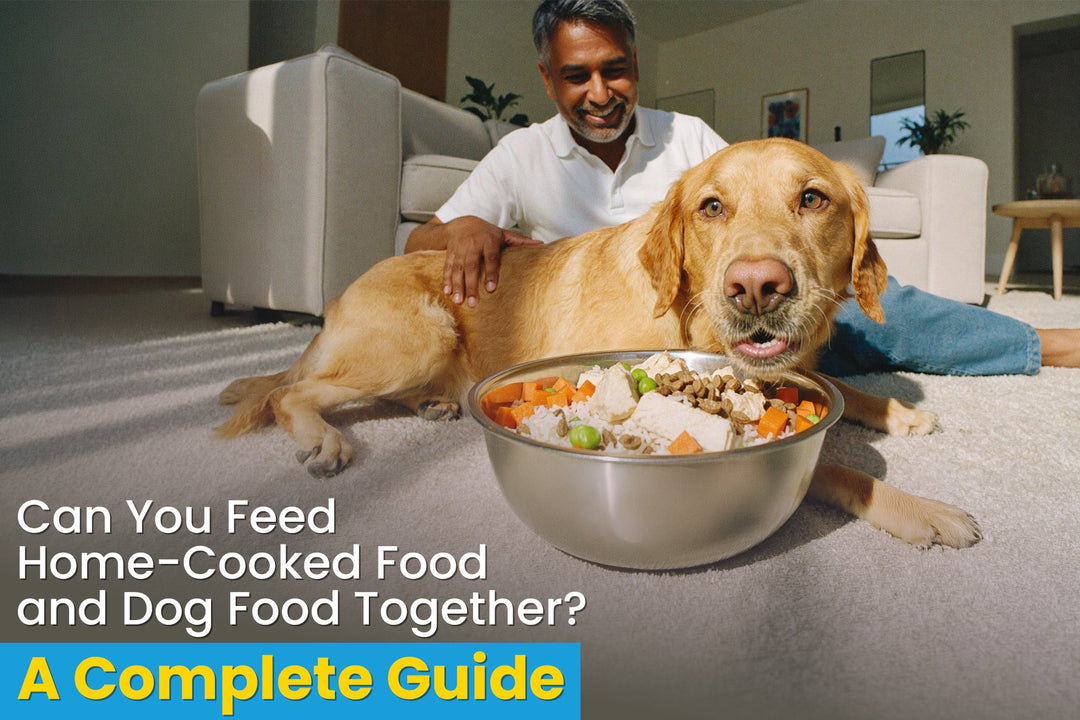 Can You Feed Home-Cooked Food and Dog Food Together? A Complete Guide