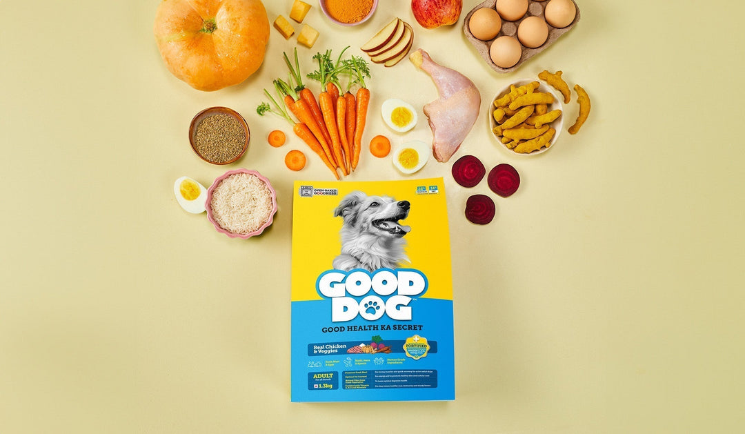 What Ingredients Should a Dog Food Have? A Vet Explains