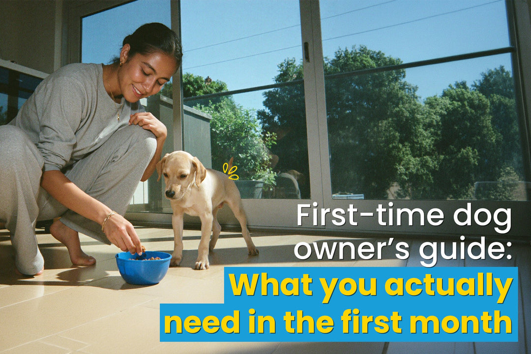 First-Time Dog Owner’s Guide: What You Actually Need in the First Month