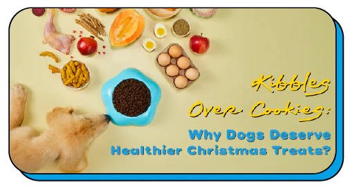 Kibbles Over Cookies: Why Dogs Deserve Healthier Christmas Treats?