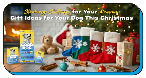 Stocking Stuffers for Your Pupper: Gift Ideas for Your Dog This Christmas