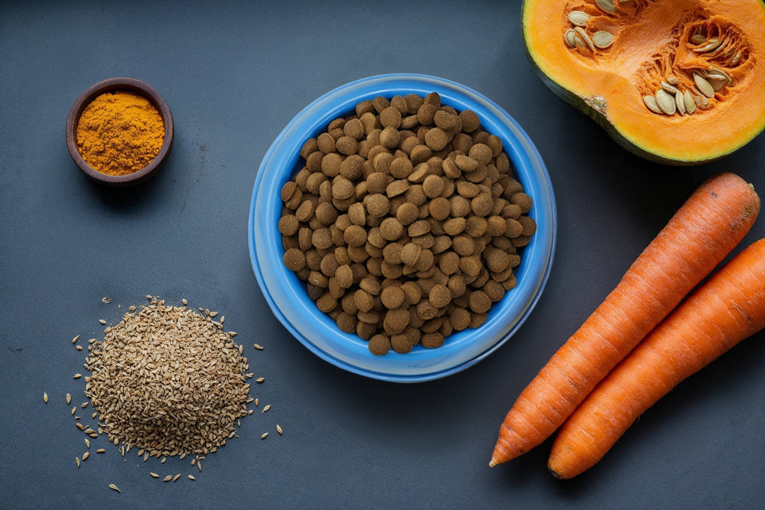 Best Indian Herbs for Dogs