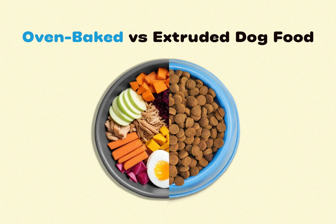 Oven-Baked vs Extruded Dog Food: