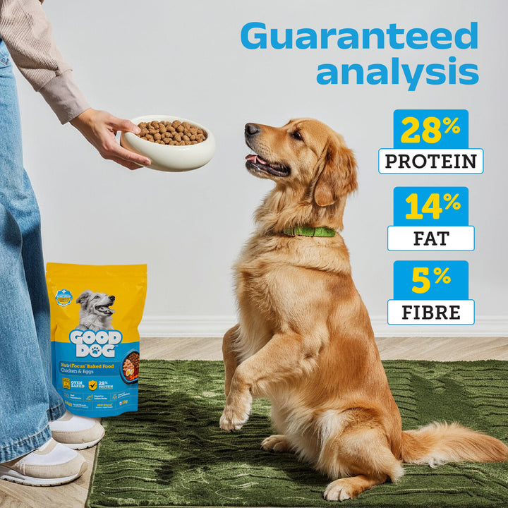 Nutritionally Formulated Adult Dog Food