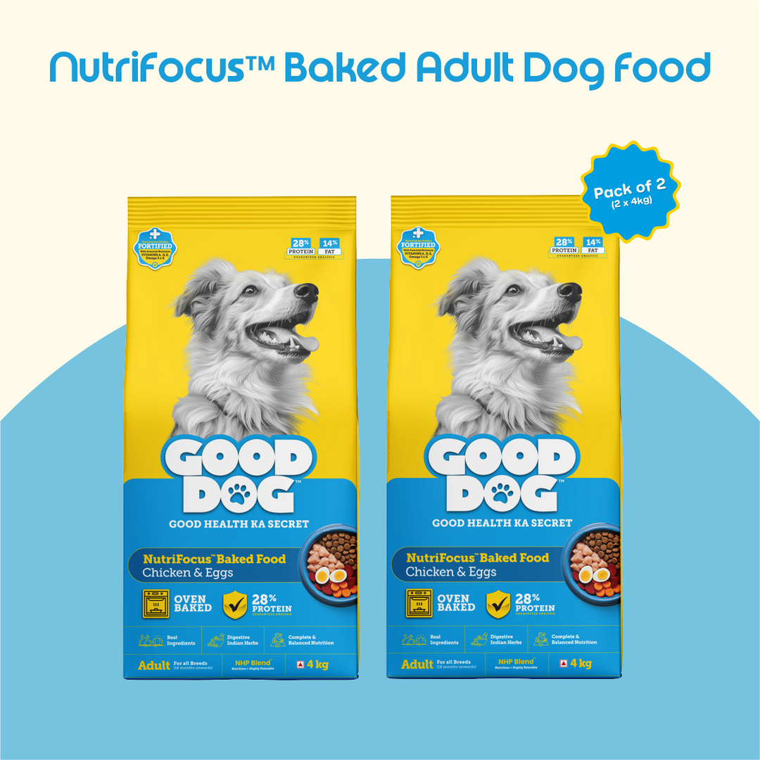 Nutritionally Formulated Adult Dog Food
