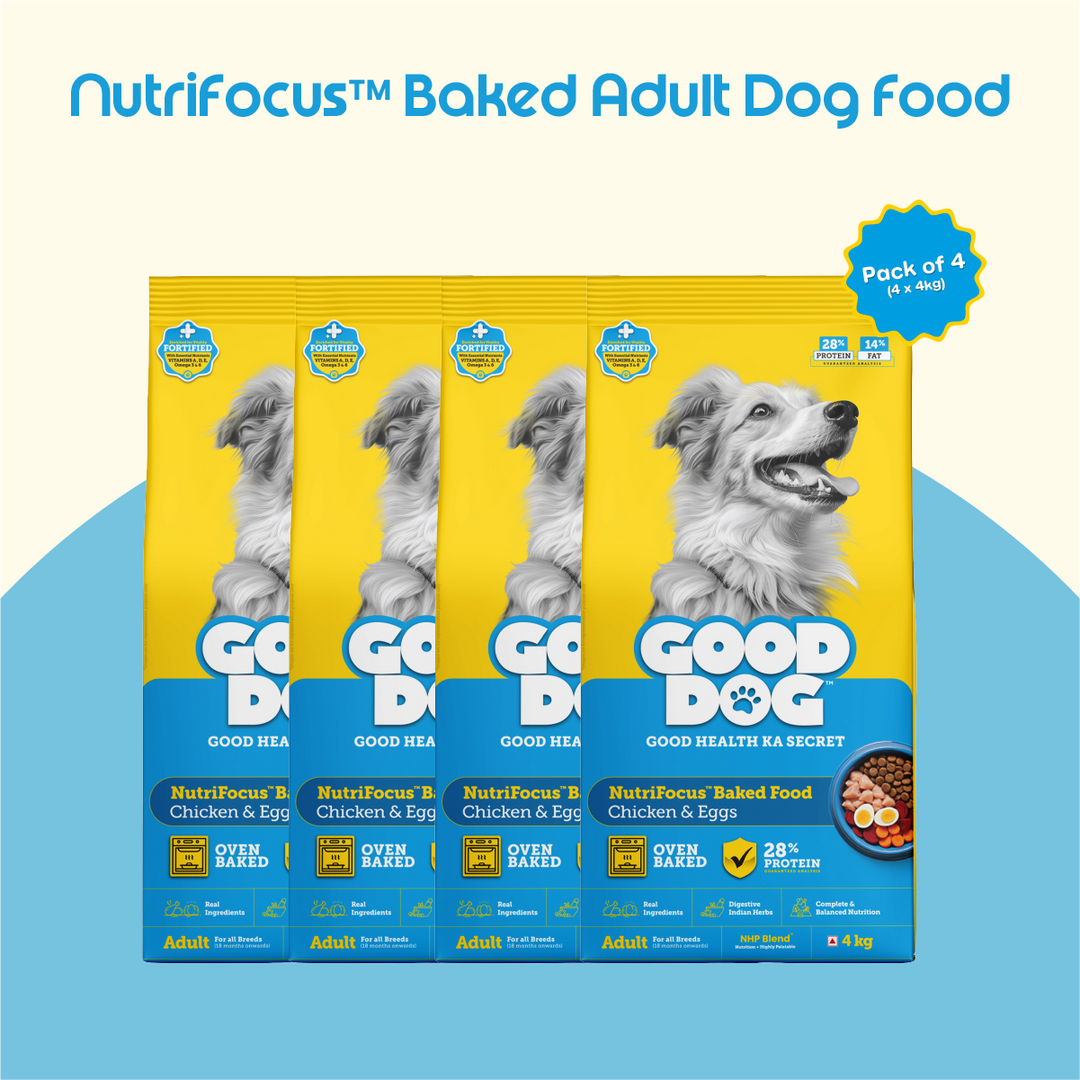 Nutritionally Formulated Adult Dog Food