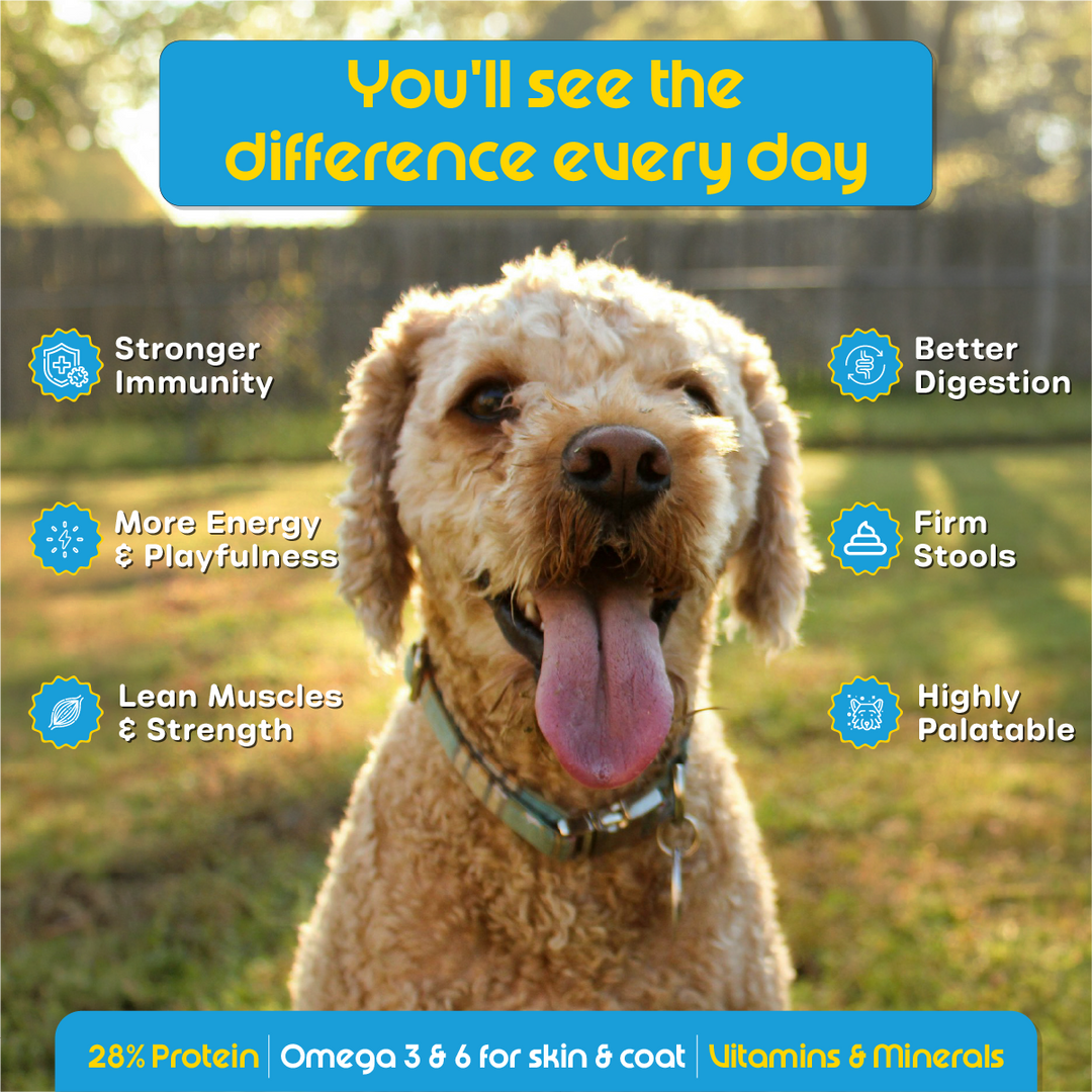 Nutritionally Formulated Adult Dog Food
