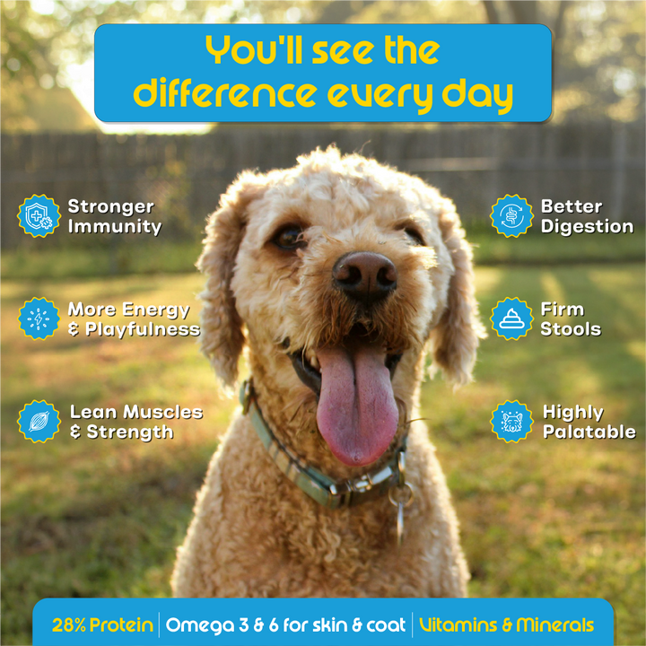 Nutritionally Formulated Adult Dog Food