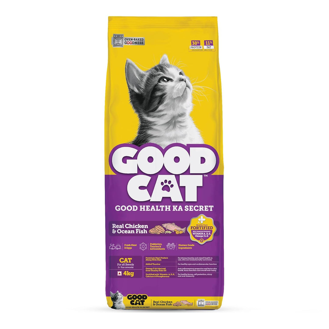 Cat Food