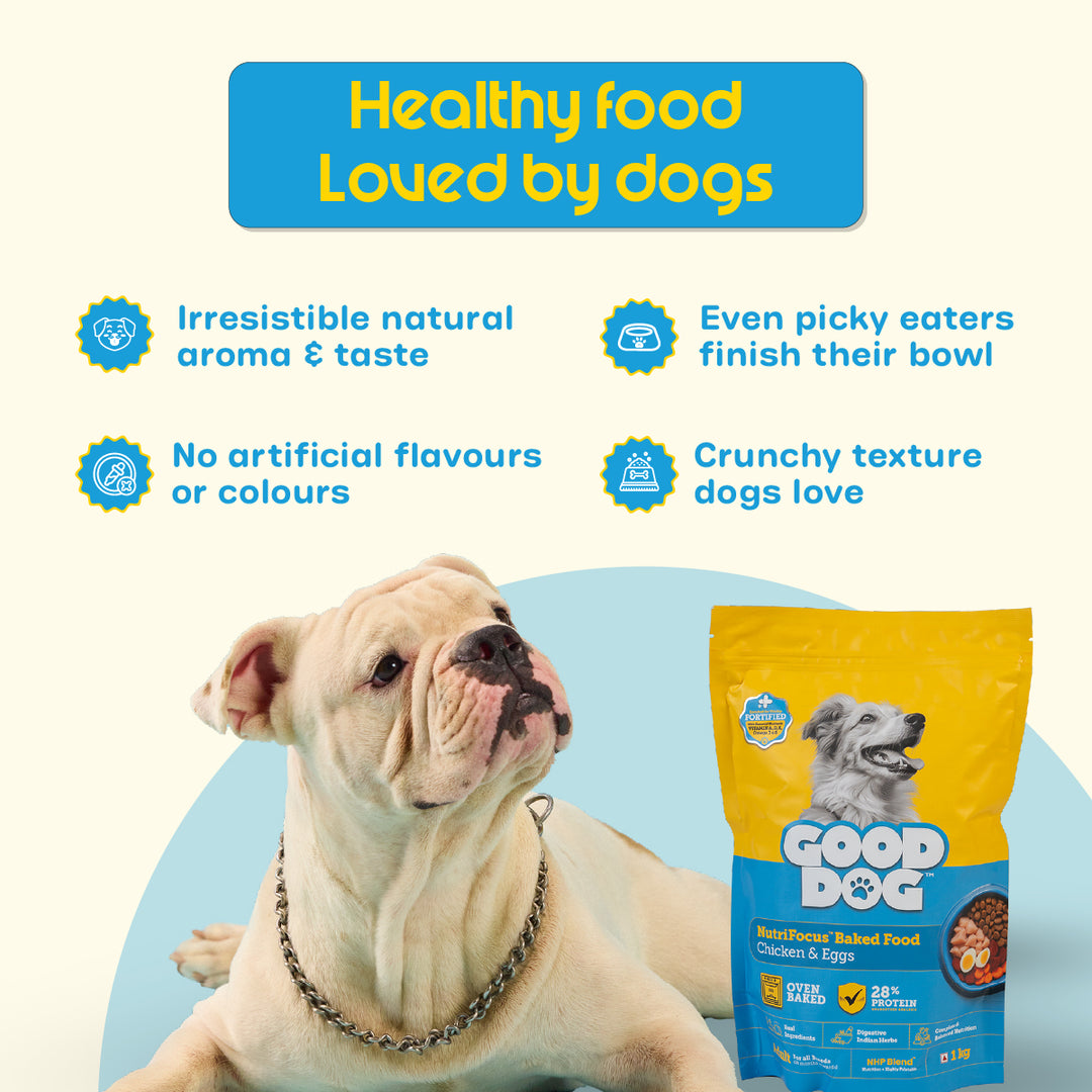 Nutritionally Formulated Adult Dog Food