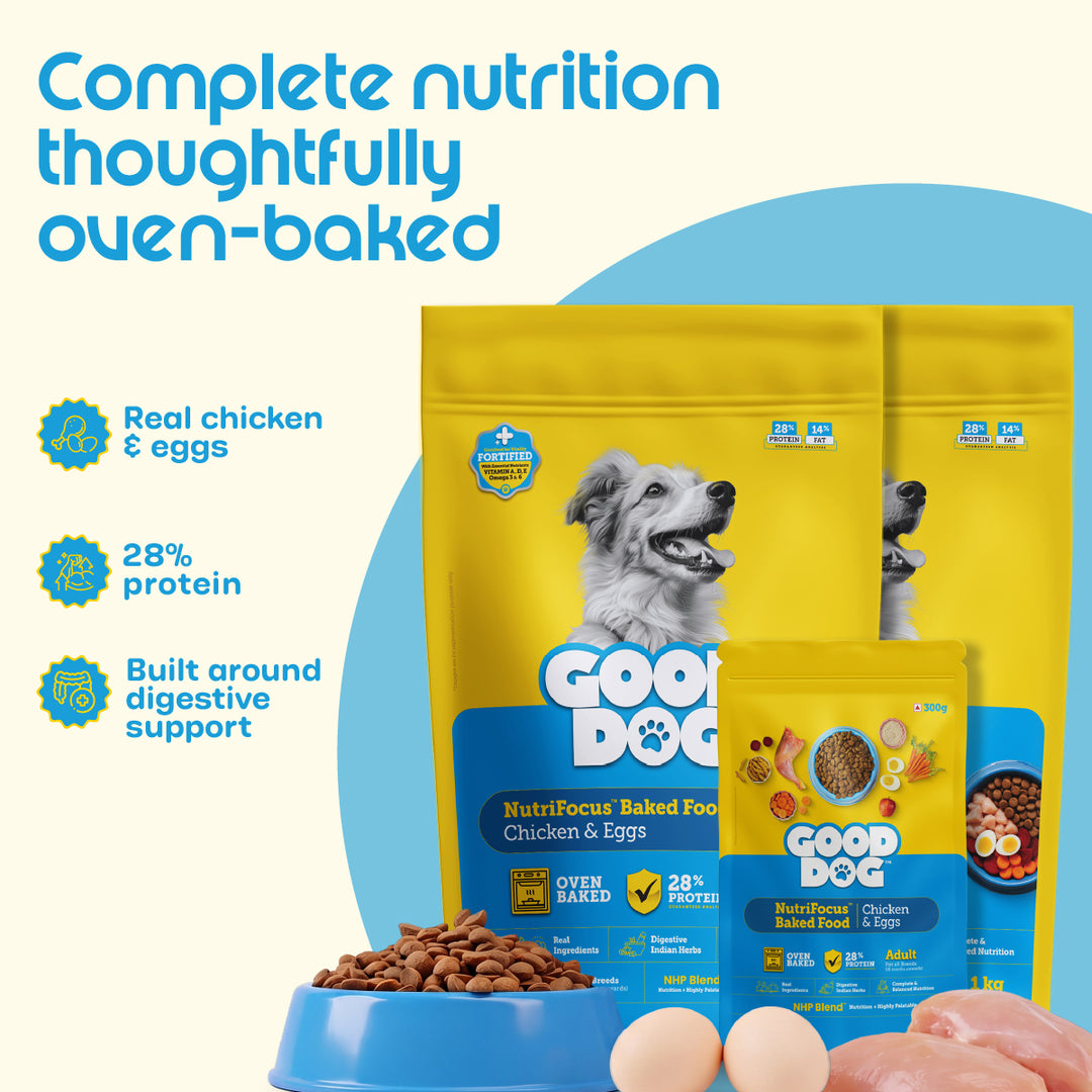 Nutritionally Formulated Adult Dog Food