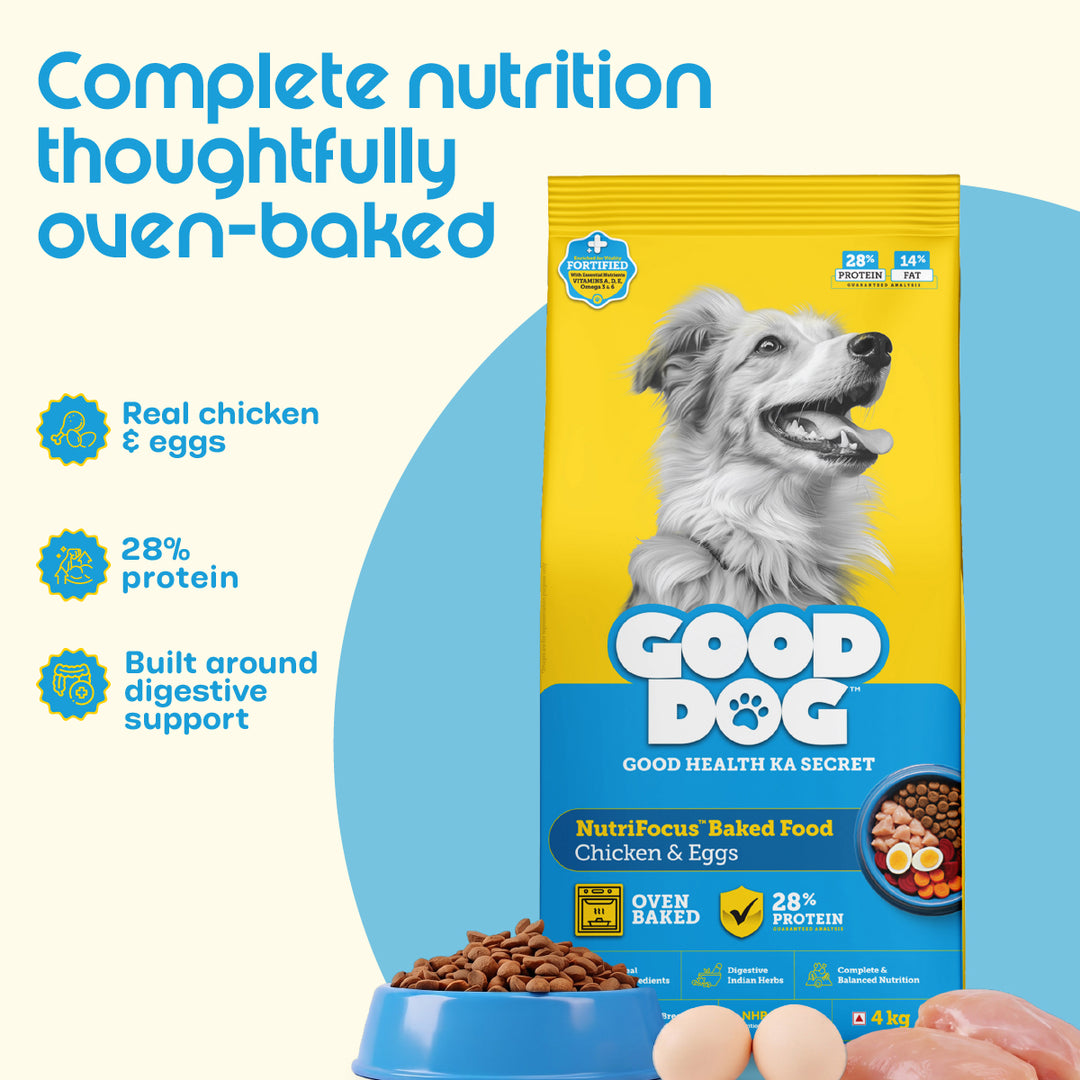 Nutritionally Formulated Adult Dog Food
