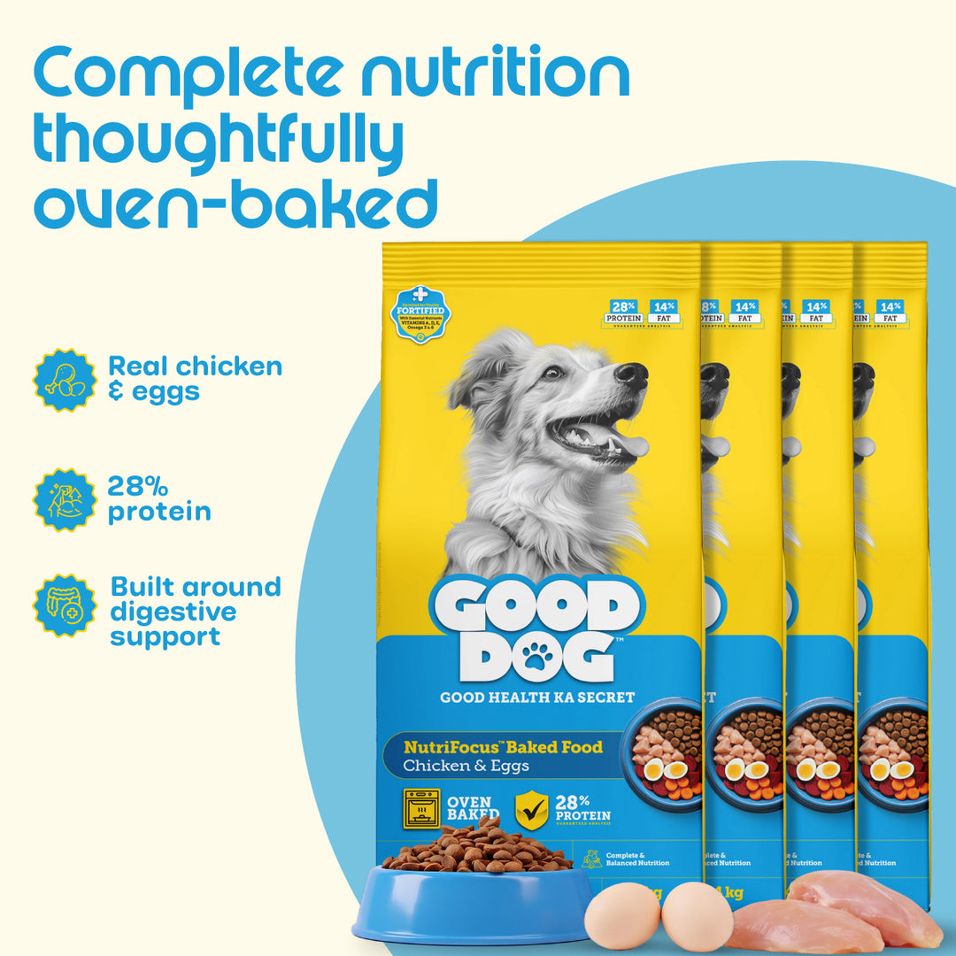 Nutritionally Formulated Adult Dog Food