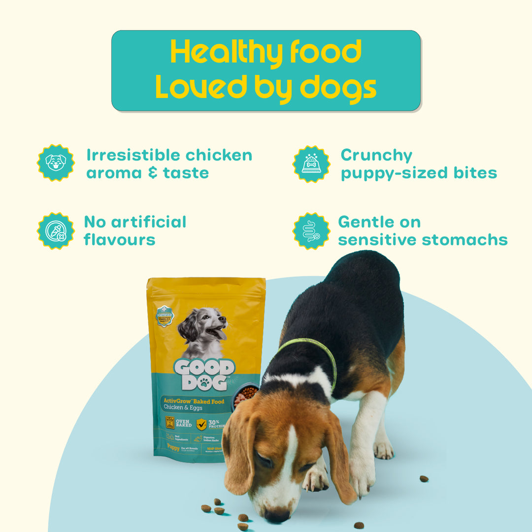 Good Dog Puppy 1kg Baked Food