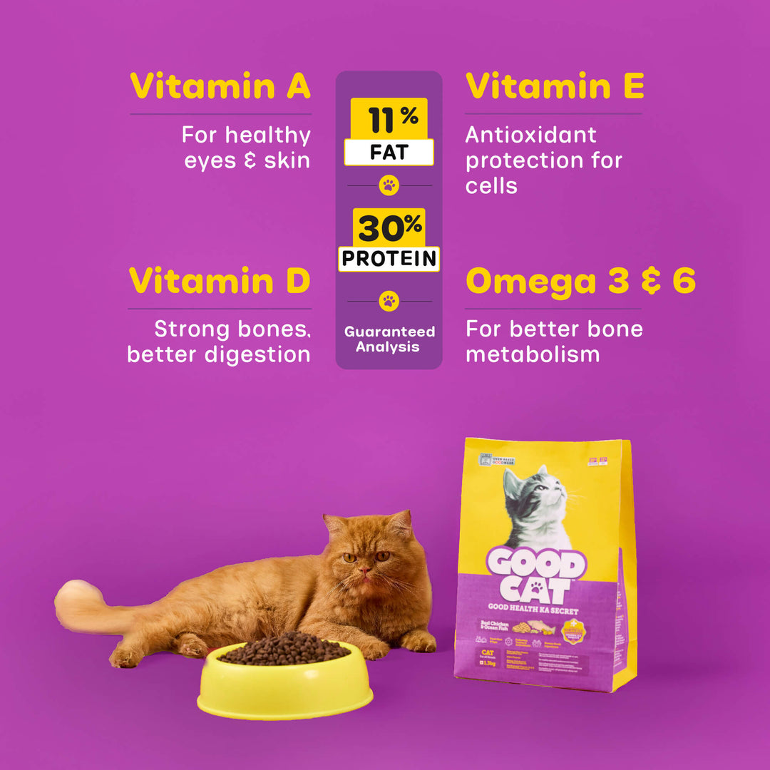 Buy Meo Cat Food Online