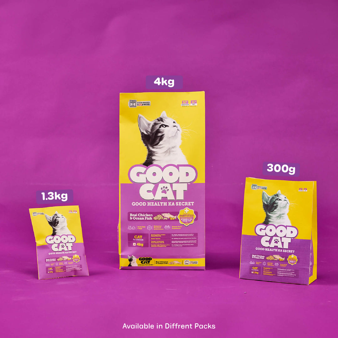 cat Food Online India
