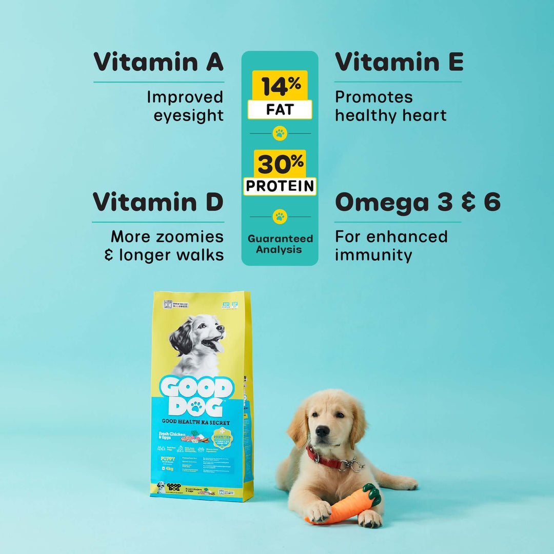 Labrador Puppy Food