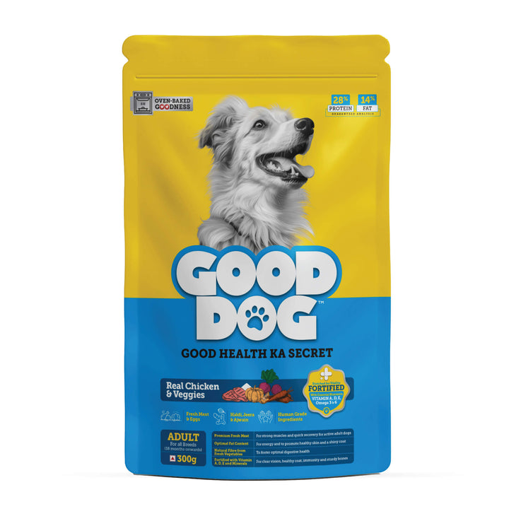healthy dog food