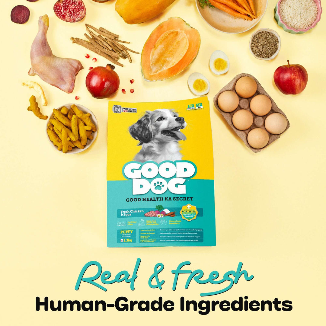 Chicken & Eggs Dry Puppy Food